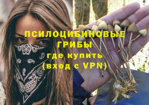 гашик Снежногорск