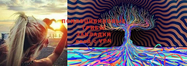 крисы Бронницы