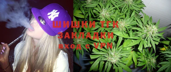 гидра Слюдянка