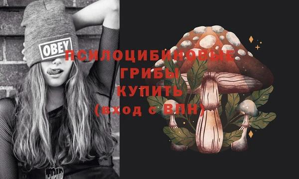 крисы Бронницы
