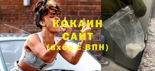 гашик Снежногорск