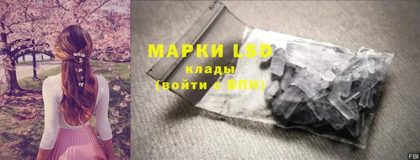 гидра Слюдянка