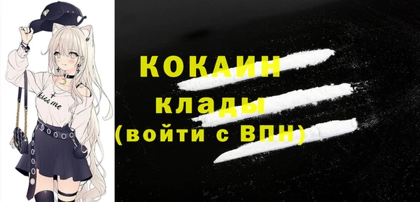 крисы Бронницы